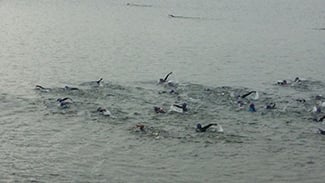 Headed for the finish line
