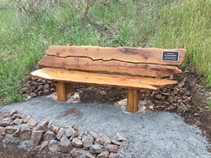 KovachBench1