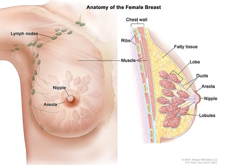 Did you know there are 15 types of breast cancer? Here's how to